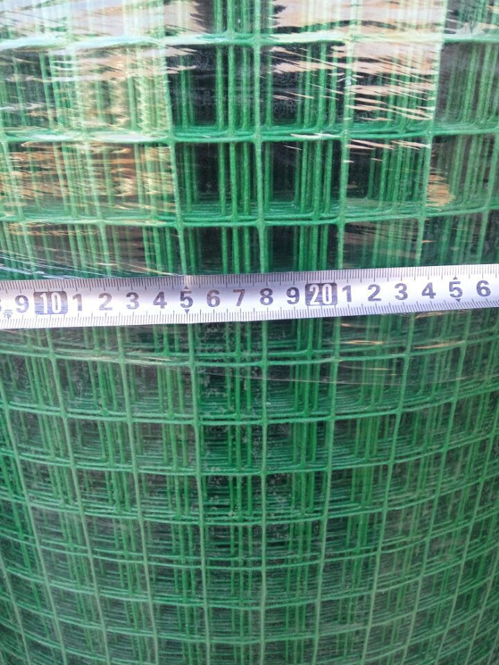 \"QQ图片20151231112107\"